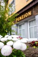 Penzion 43 - B&B