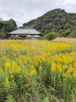 Villa con 1 Camera da Letto