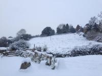 Holly Cottage - B&B Banbury