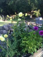 Cabañas Rahue - Bed and Breakfast Vilches