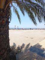 Palm tree view - Ferienwohnung Santa Pola