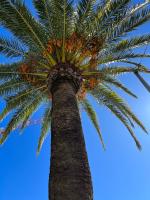 Mon Reve Ensoleille - B&B La Croix-Valmer