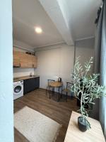 Chirie centru Chișinăului - Ferienwohnung Chişinău