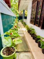 The Travellers Rest - B&B Katunayaka