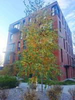 Park Lake New building - B&B Klaipėda