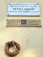 Apartment Ceasul Electric - B&B Satu Mare