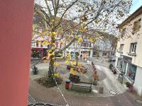 Hostellerie Alsacienne de Masevaux - B&B Masevaux