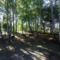 Cabaña el Encanto - B&B Villarrica