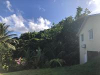 KayMèlCo - Maison conviviale au cœur de la campagne martiniquaise - B&B Rivière-Pilote