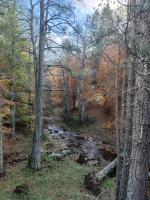 La casa in Sila di Romeo e Zietta - B&B Serrisi