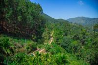 Tunnel Top Inn Ella - B&B Ella Town