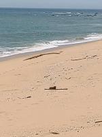 Aimers Lodge - B&B Dungun