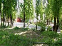 Los Abedules Bungalow - homestay - B&B Malargüe