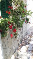 Residence Polidoro - B&B Vieste