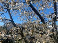 Dai nonni - B&B Aosta