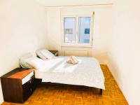 Large Flat with Balcony in Zurich, Kars - B&B Zurich