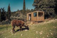 Parcel Tiny House Barroux, entouré par les lamas près du Mont Ventoux - B&B Le Barroux