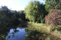 For EverGreen - B&B East London