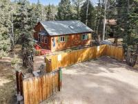 Modern Mountain Cabin, Fireplace, Deck with Deer Views, Near Wolf Center - B&B Florissant
