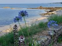 Magnifique villa à 80 m de la plage, 4 grandes chambres, 122 m2, jardin clos - Chambres d'hôtes Saint-Pierre-Quiberon