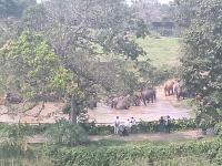 Doppelzimmer mit Balkon (2 Erwachsene + 1 Kind)