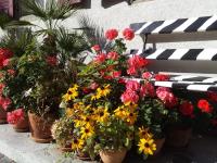 Flowerpot Apartment - B&B Unterseen