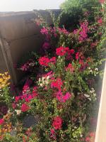 Lou Fatm' Popenguine - B&B Poponguine