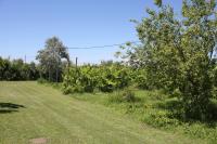 Tenuta Lio Maggiore - B&B Lido di Iesolo