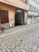 T2 cosy charme alsacien poutres apparentes au centre de Barr - Bed and Breakfast Barr