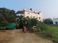 Beverly Dinesh Homestay - B&B Tiruvannamalai