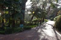 Viettz Suite - B&B