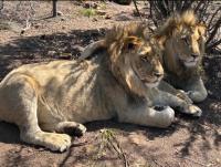 Valley view cottage - B&B Mossel Bay