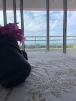 Villa Bel'Horizon - B&B Capesterre-de-Marie-Galante