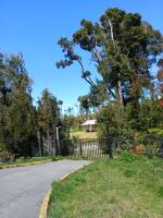 Refugio del bosque - Chambres d’hôtes Chaitén