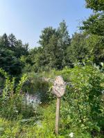 Refuge nature en forêt quartier paisible Parc des Chutes - B&B La Tuque