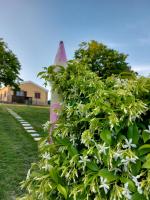 I Colori dell'Infinito - Bed and Breakfast Recanati