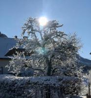Rosental Privatunterkunft - Ferienwohnung Sankt Margareten im Rosental