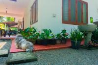 Shasha House Bentota - Ferienwohnung Hettiwatta