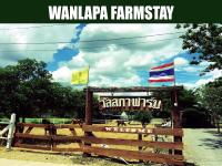 Wanlapa Farmstay - B&B