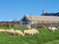 The Dairy, Treathro Farm - Rural, sea views, woodburner - B&B Saint Nicholas