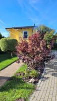 Ferienhaus an der Brunnenaue 4 Sterne, E-Ladestation am Haus, Wlan, Netflix, Garten - B&B Sagard