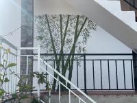 Blossom - B&B Haputale