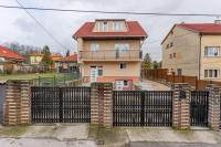 Leaf Song 1 - B&B Budapest