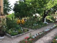 Pansion Velickovic - Bed and Breakfast Niška Banja