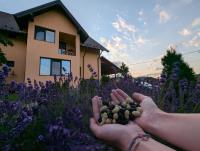 Pensiunea Teona - Ferienwohnung Târgu Ocna