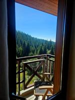 Captain's Apartment - B&B Pamporovo