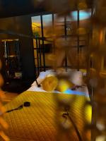 Luxury Love Studio - Ferienwohnung Posen