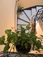 Bloom as you are - Chambres d'hôtes Bologne