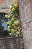 La Burraia di Anna - B&B Abbadia di Montepulciano