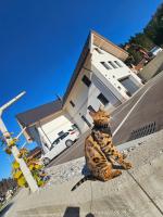 Vila Hrastnica - Bed and Breakfast Škofja Loka